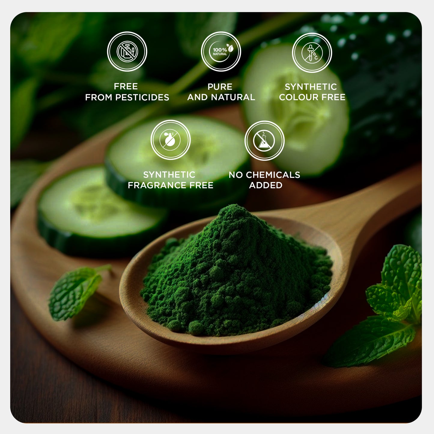 Cucumber Powder