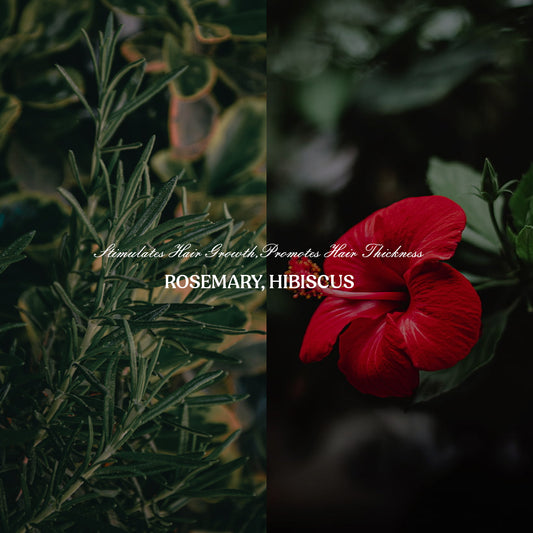 No Oil Anti Hair Fall Combo