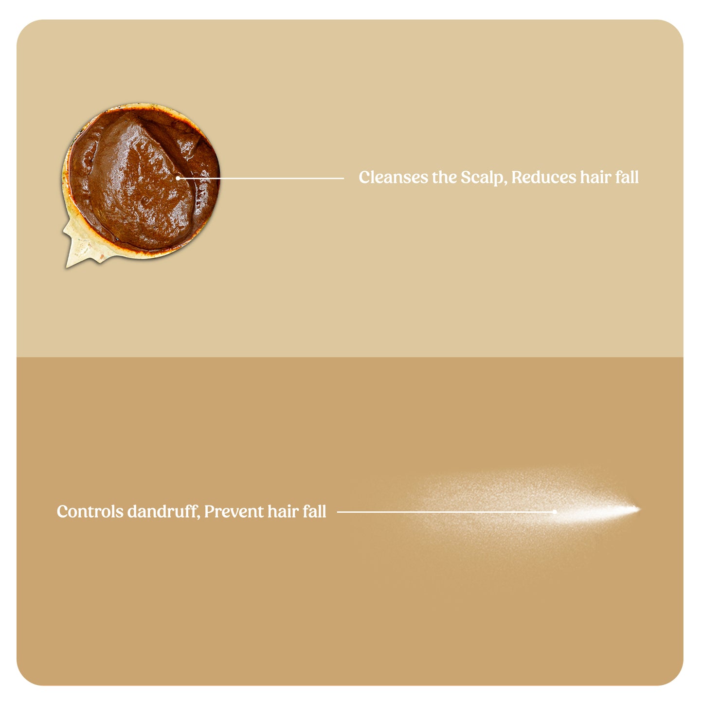 No Oil Anti Hair Fall Combo