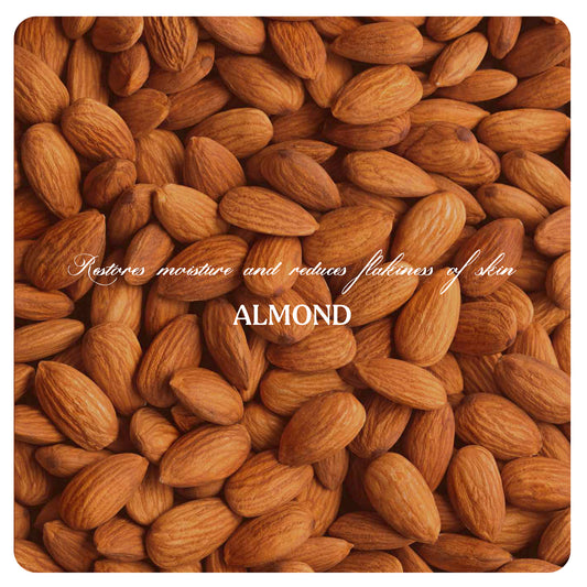 Face Wash Powder (Normal to Dry skin)