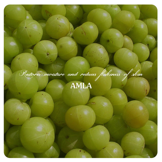 Face Wash Powder (Oily Skin)