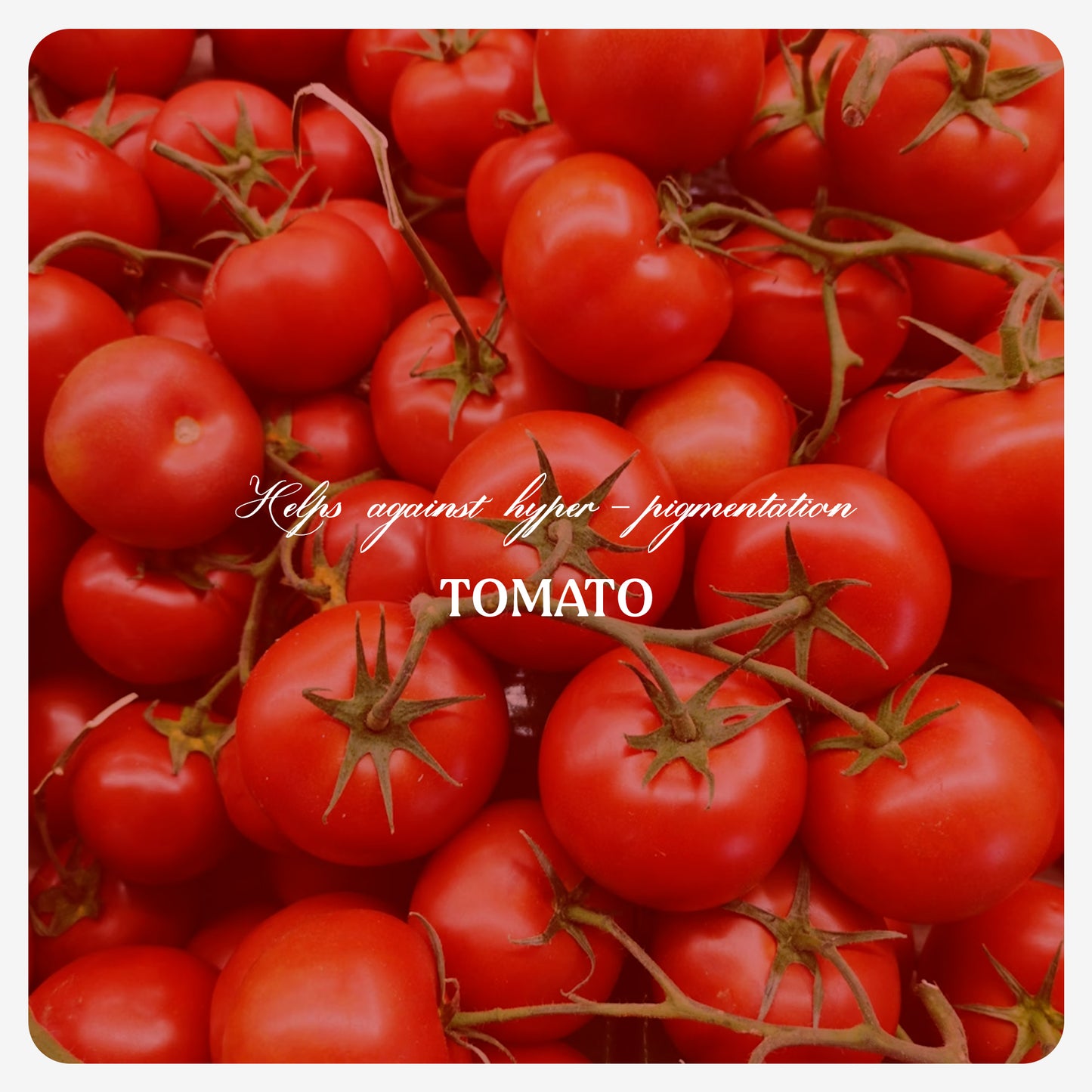 Organic Tomato Seed Oil