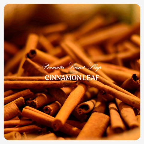 Cinnamon Leaf Oil