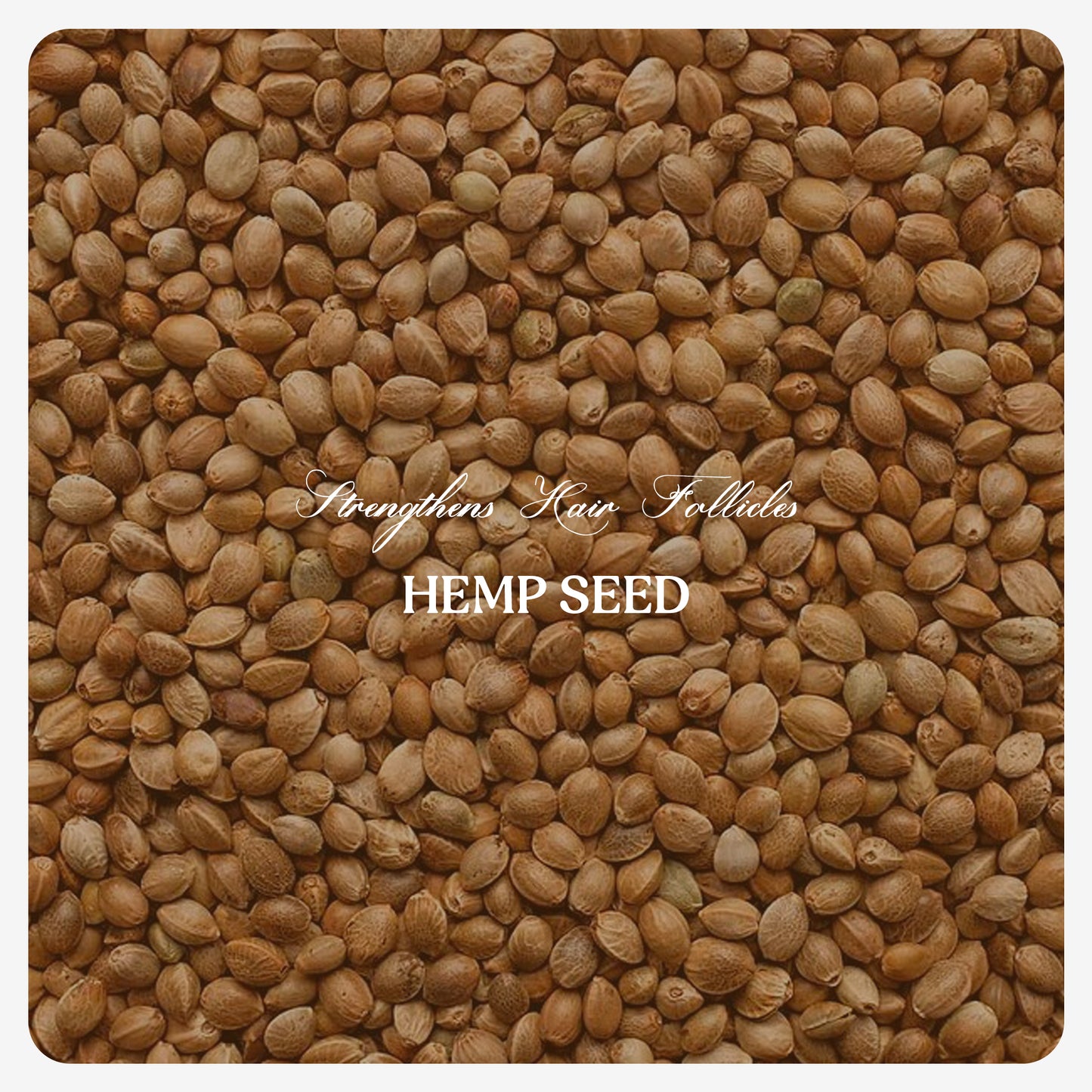 Hemp Seed Oil (Cold Pressed)
