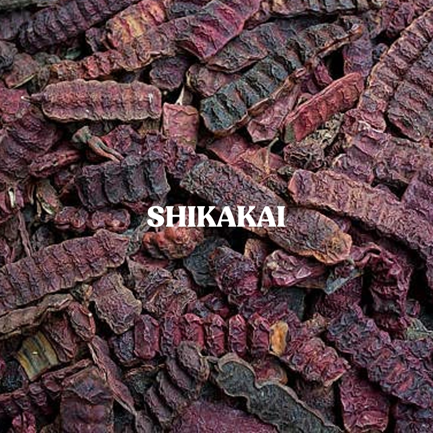 Shikakai Powder