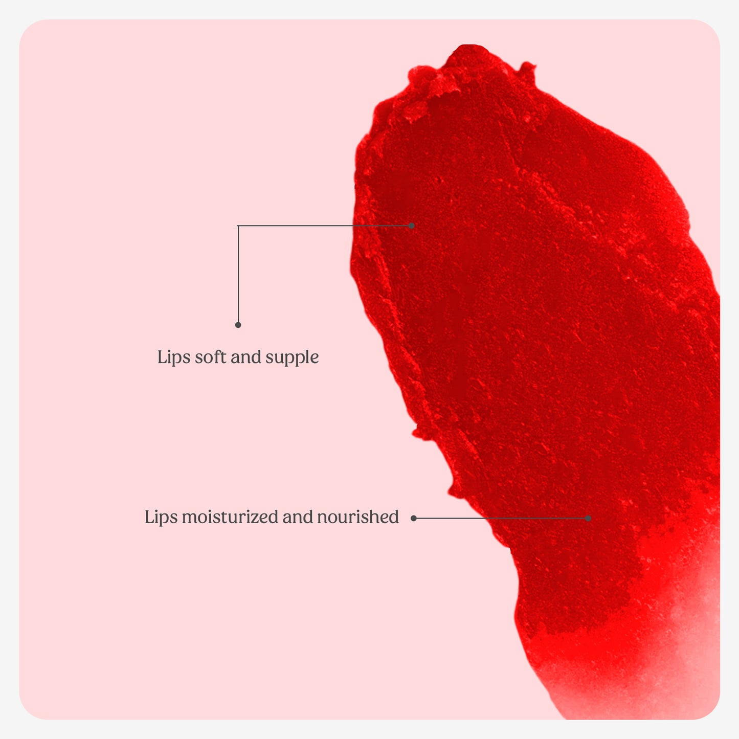 Tinted Lip Balm (Rosy Pink)