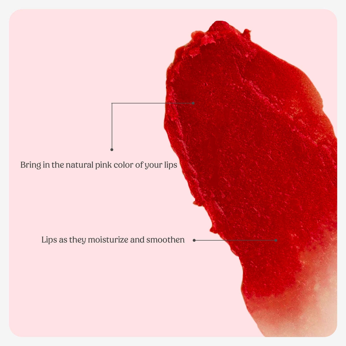 Tinted Lip Balm (Beetroot Red)