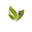 100% Organic Products logo