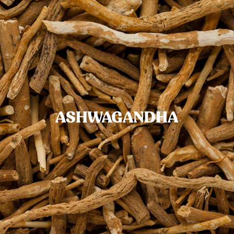 ASHWAGANDHA POWDER (100 GRAM)
