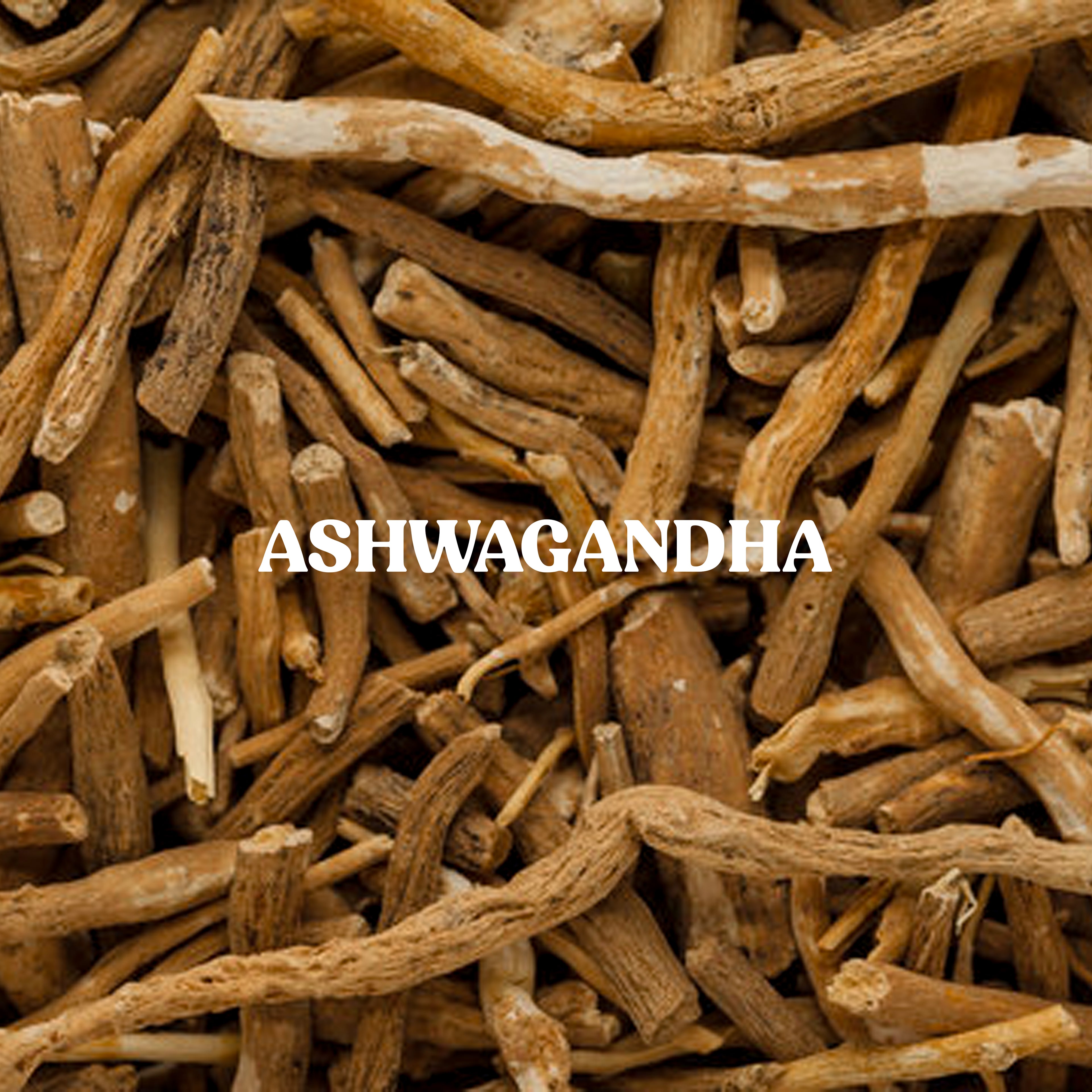 Ashwagandha Powder