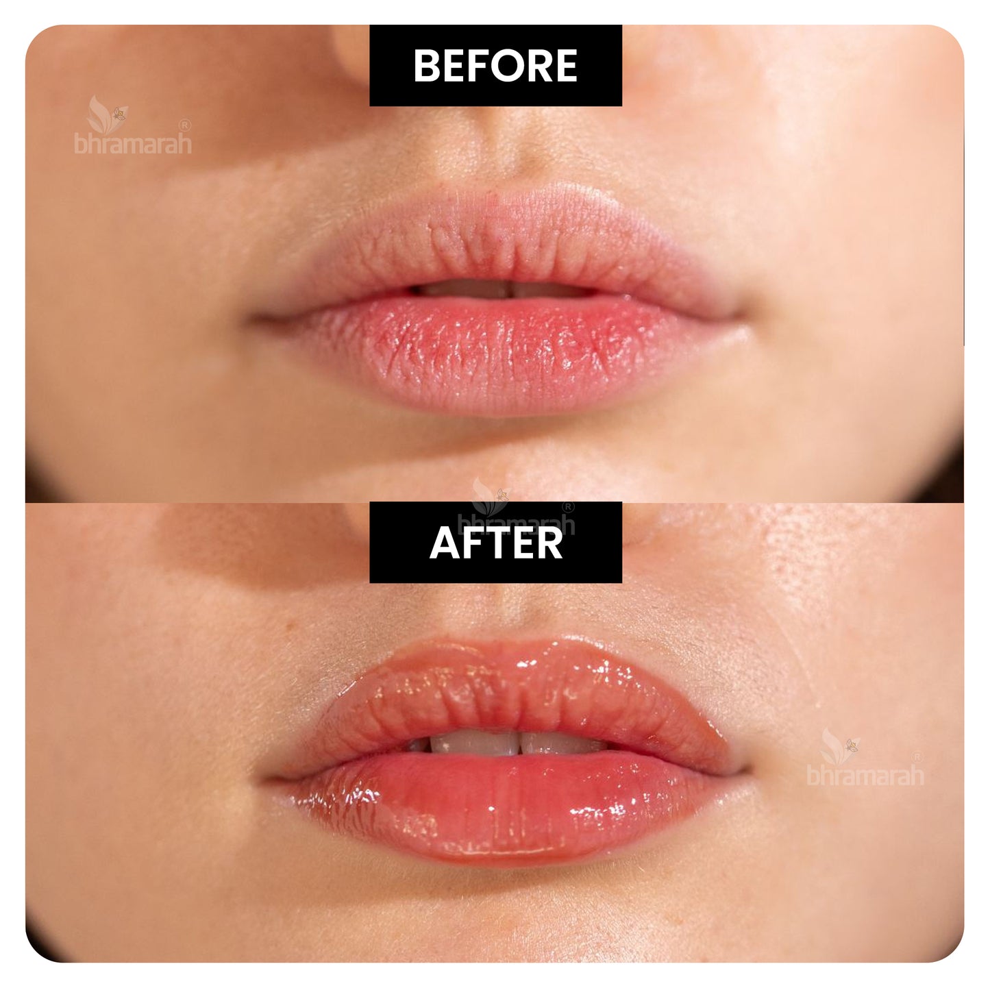 Tinted Lip Balm (Rosy Pink)