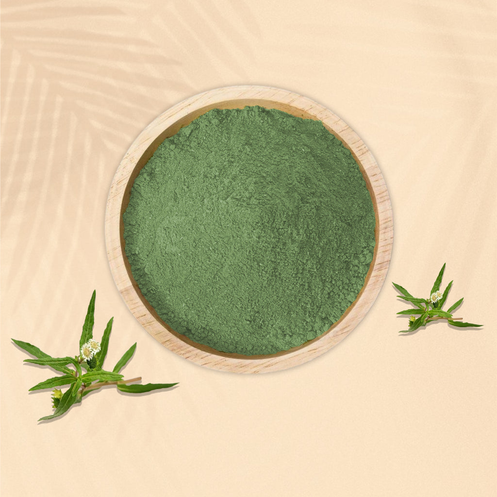 Bhringraj Powder