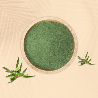 Bhringraj Powder
