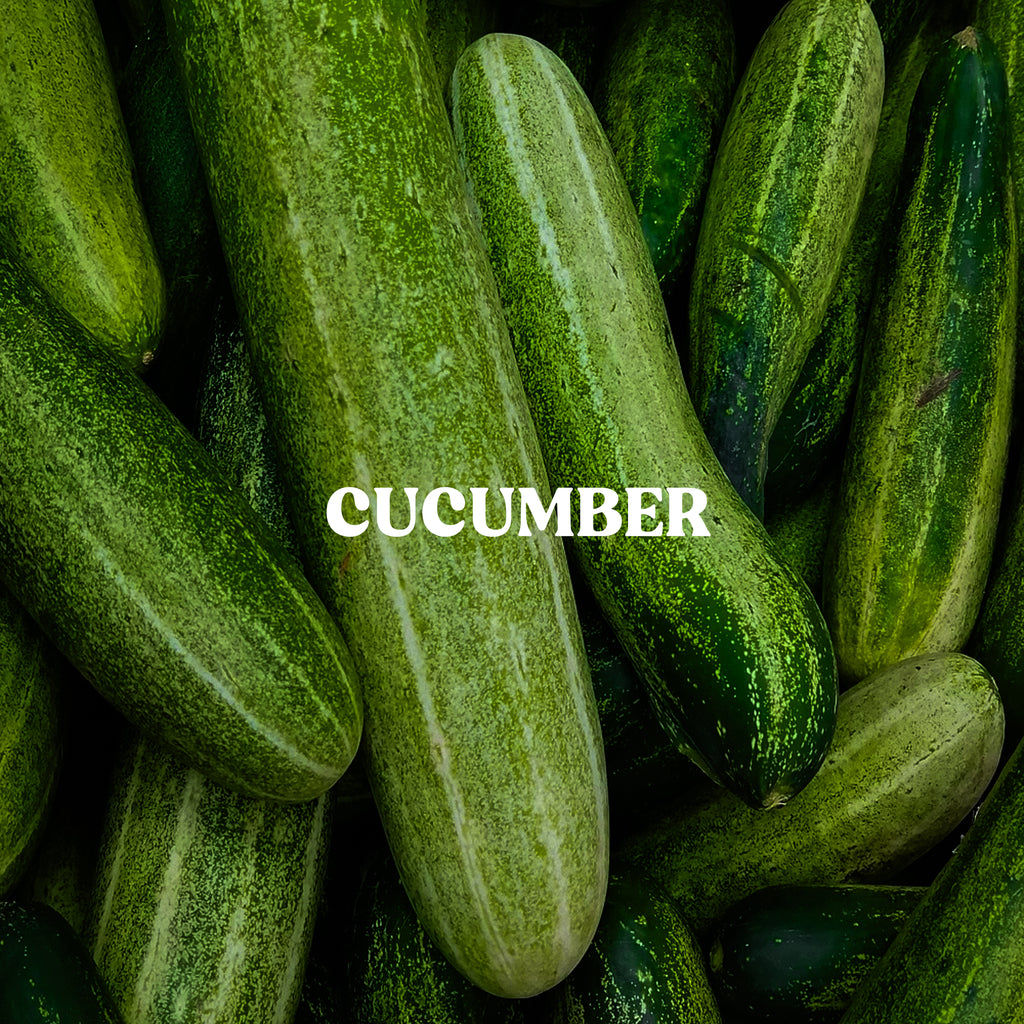 Cucumber Powder
