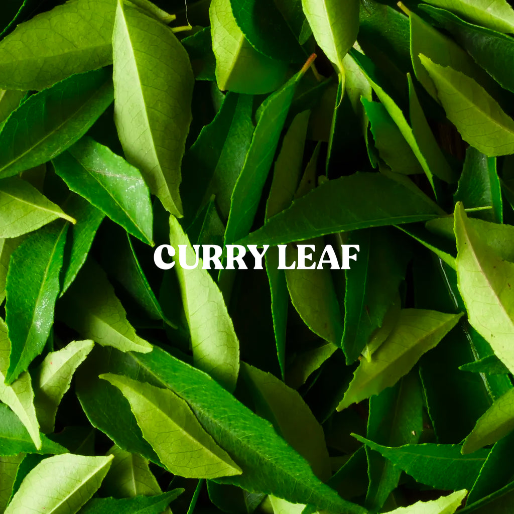 Curry Leaf Powder