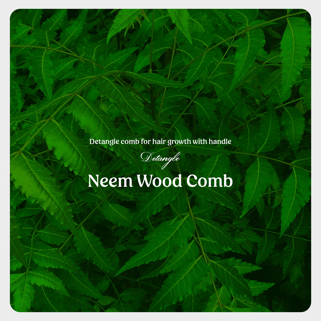 Bhramarah Neem wood comb (Detangle comb for hair growth with handle)
