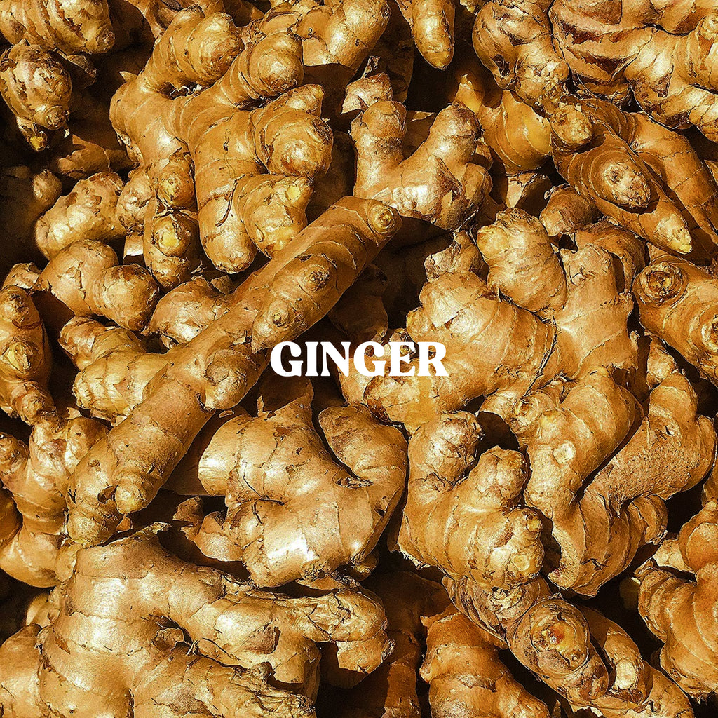 Ginger Powder
