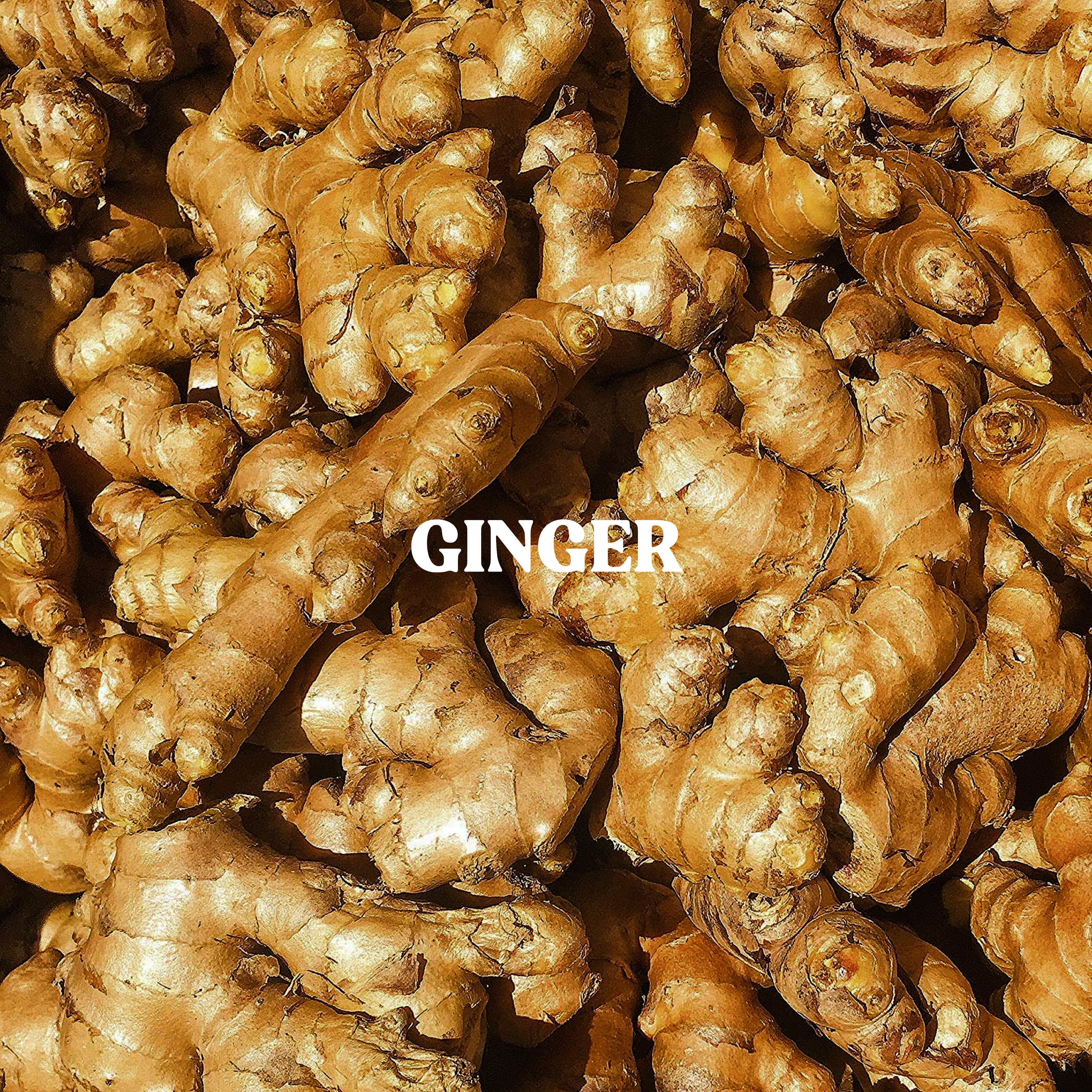 Ginger Powder