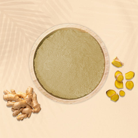 GINGER POWDER (90 GM)