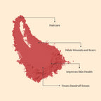 Hibiscus Flower Powder