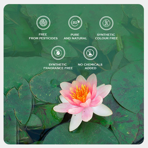 Lotus Petal Powder