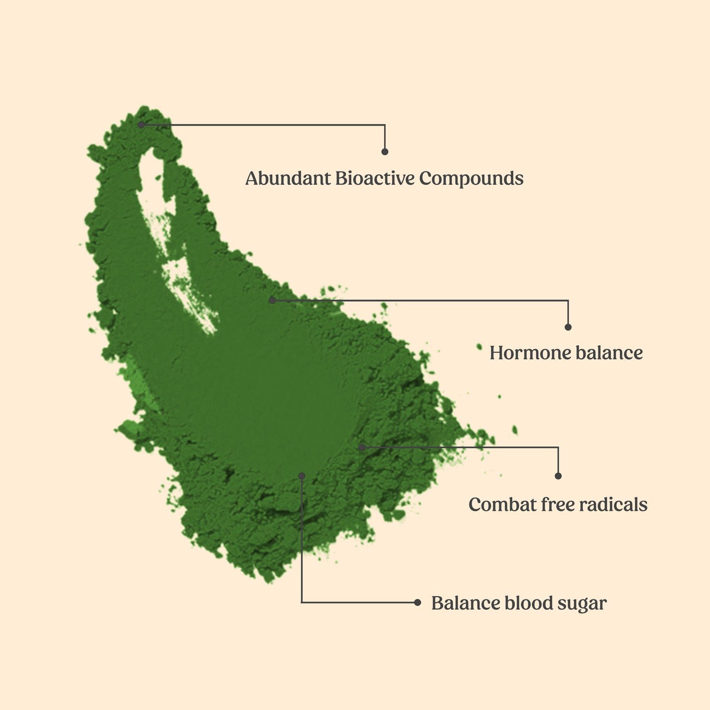 Moringa Powder
