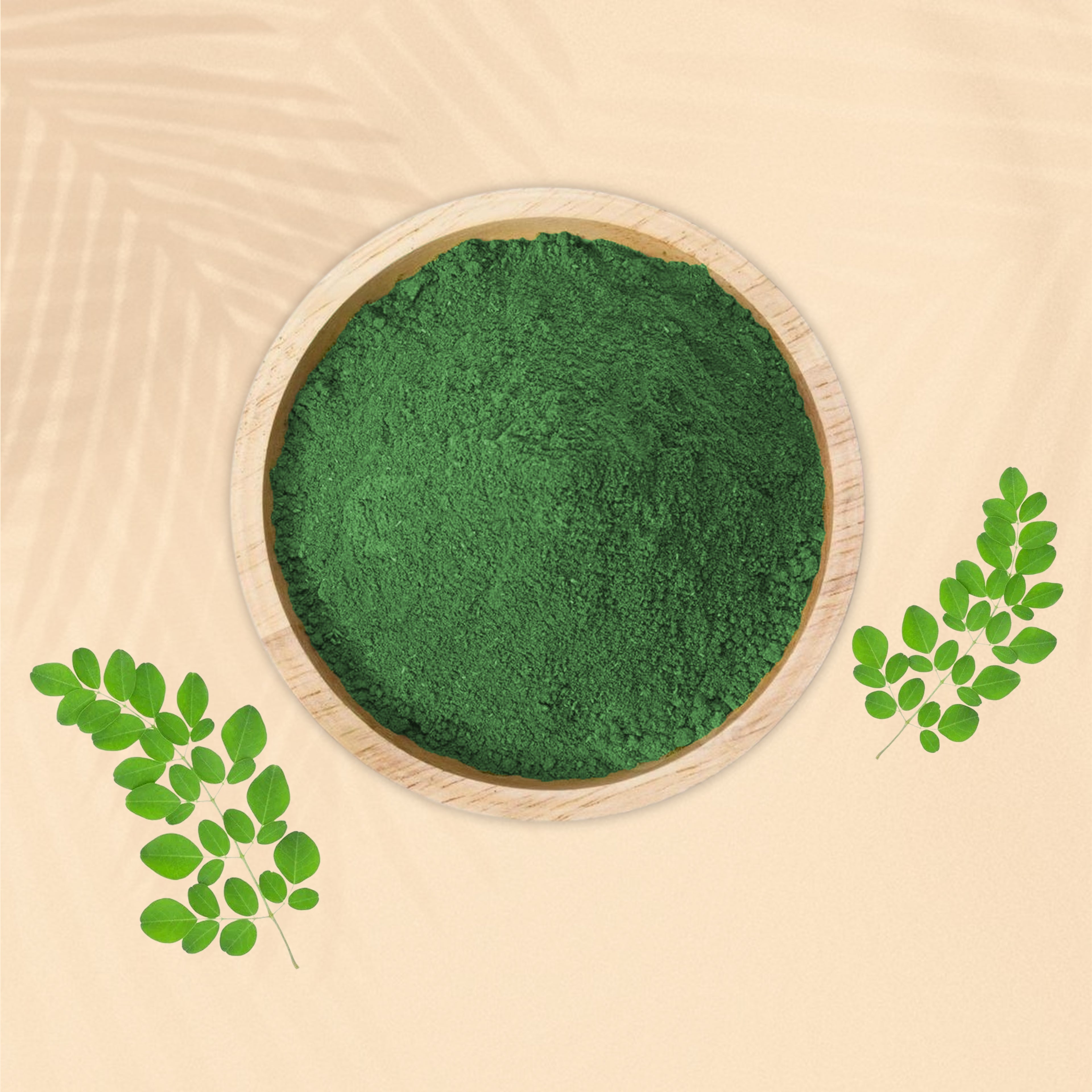 Moringa Powder