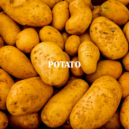 Potato Powder