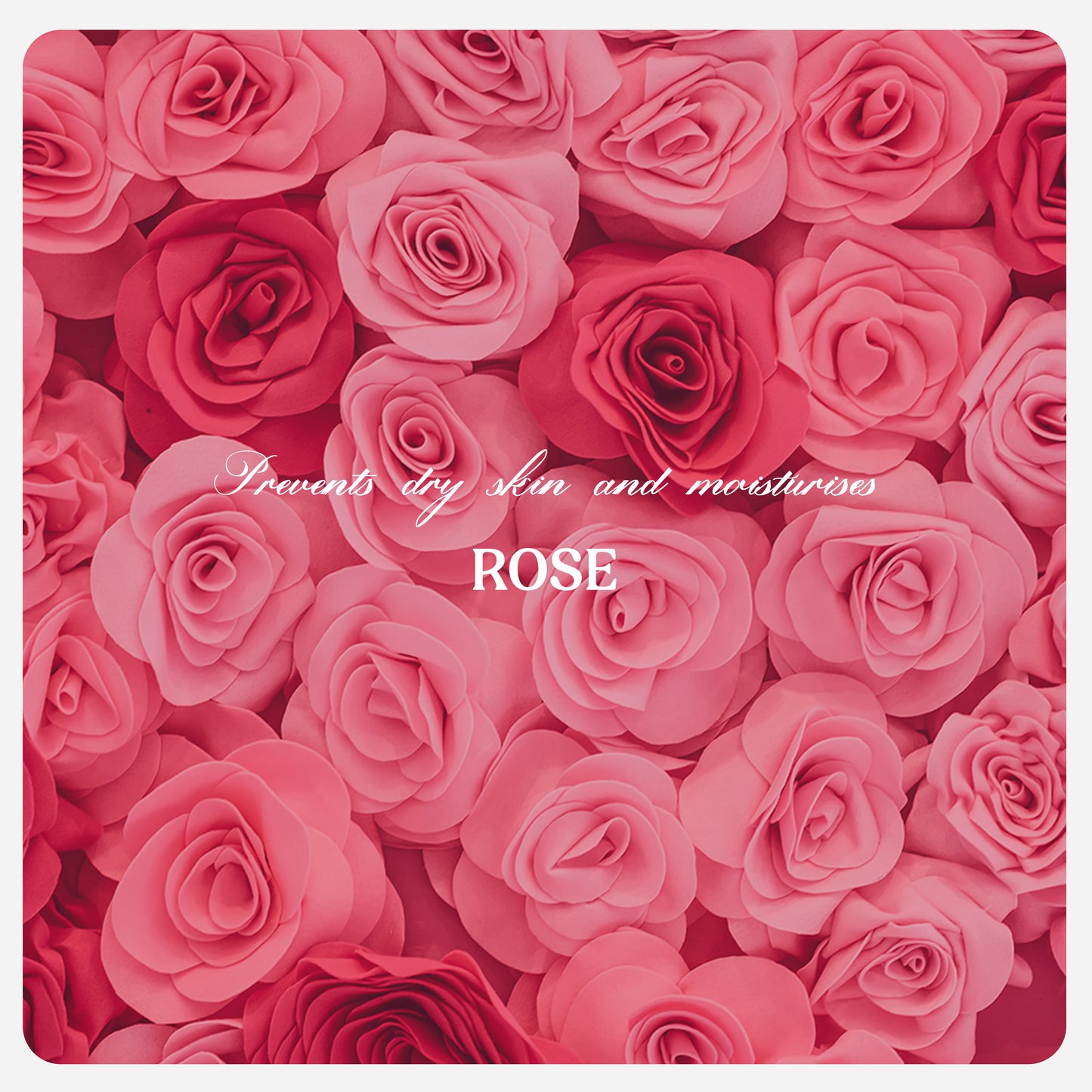 ROSE BODY WASH