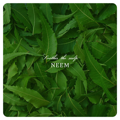 Anti Dandruff Balm