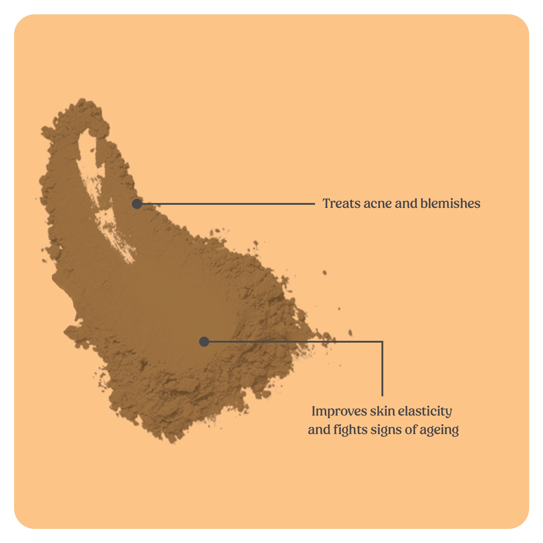 Face Wash Powder (Oily Skin)