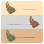 NATURAL ANTI AGING COMBO-#03 (Aswagandha, Tulsi, Sandal Wood Powders)