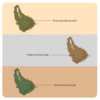 NATURAL ANTI HAIR FALL COMBO-#07 (Curry Leaves, Moringa, Aloevera Powders)