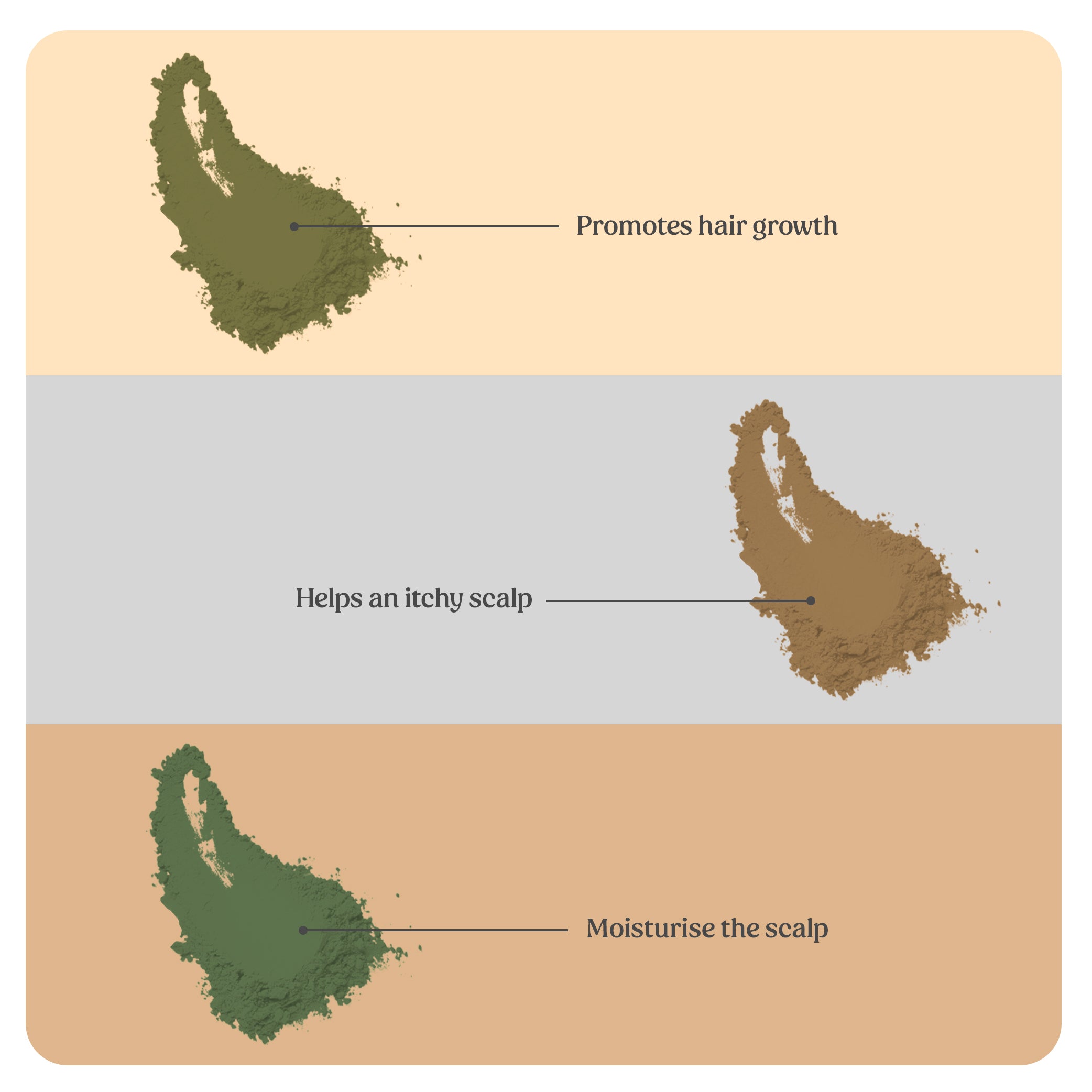 NATURAL ANTI HAIR FALL COMBO-#07 (Curry Leaves, Moringa, Aloevera Powders)