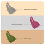 NATURAL SKIN GLOWING COMBO-#01  (Papaya, Beetroot, Lemon Powders)