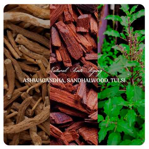 NATURAL ANTI AGING COMBO-#03 (Aswagandha, Tulsi, Sandal Wood Powders)