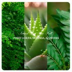 NATURAL ANTI HAIR FALL COMBO-#07 (Curry Leaves, Moringa, Aloevera Powders)