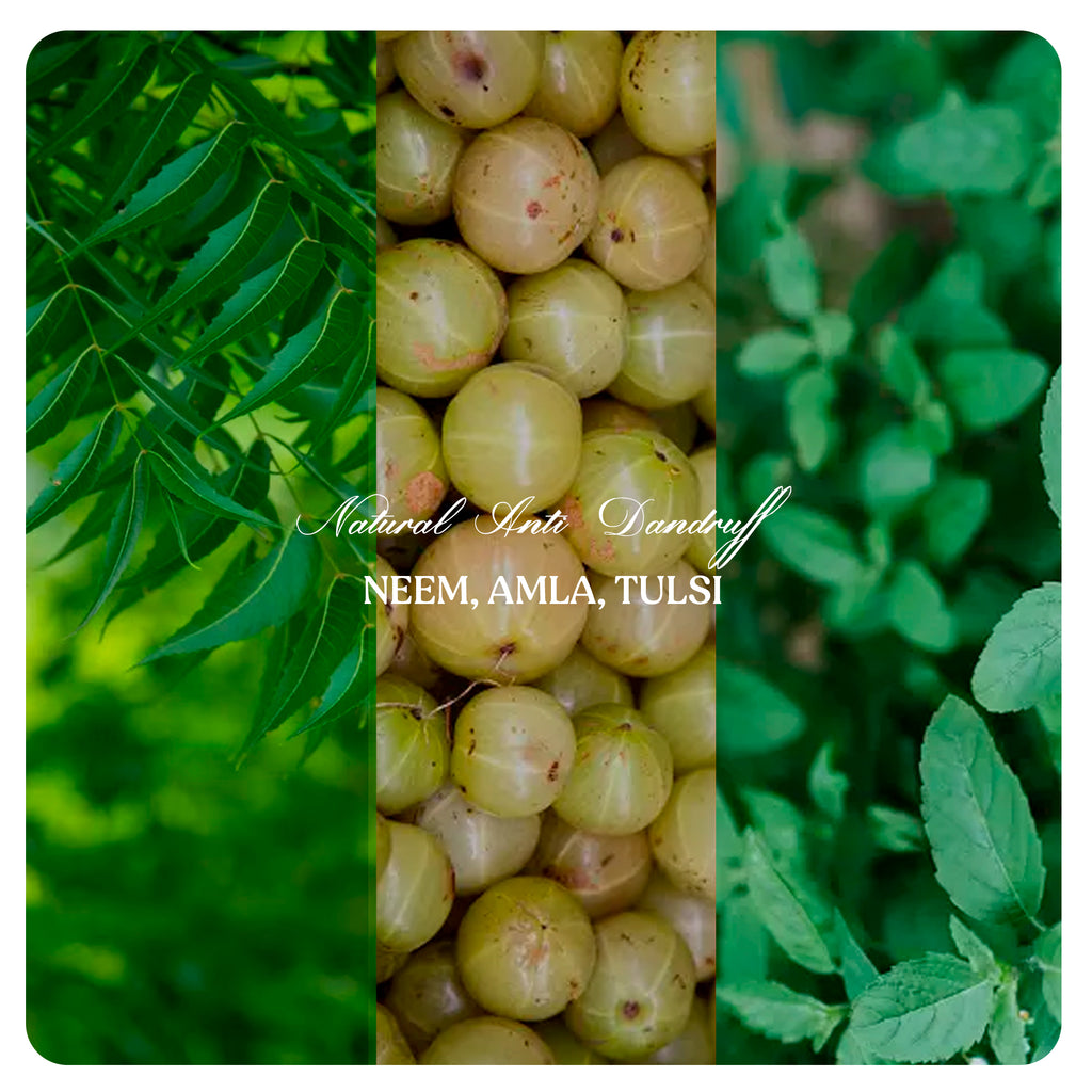 NATURAL ANTI DANDRUFF COMBO-#04 (Neem, Amla, Tulsi Powders)