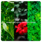 NATURAL HAIR DYE COMBO-#05 (Indigo Leaf, Henna, Hibiscus Flower Powders)