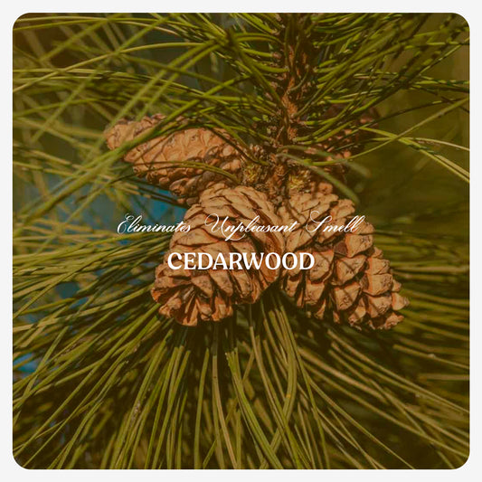 Cedarwood Oil