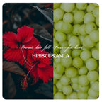 Hair Growth Oil | Shampoo (Combo)