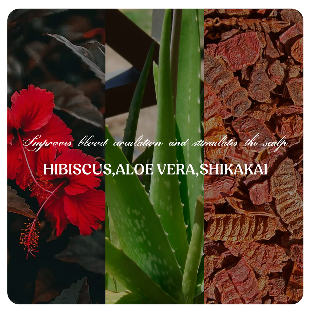 Premium Hair Growth Oil |Shampoo | Conditioner (Combo)