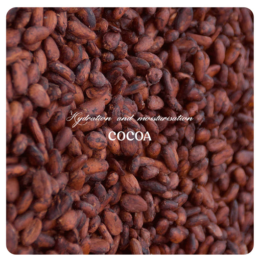 Cocoa Body Lotion