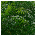 Face Pack Powder For Acne Pimple Control