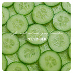 Face Cream (Normal to Oily)