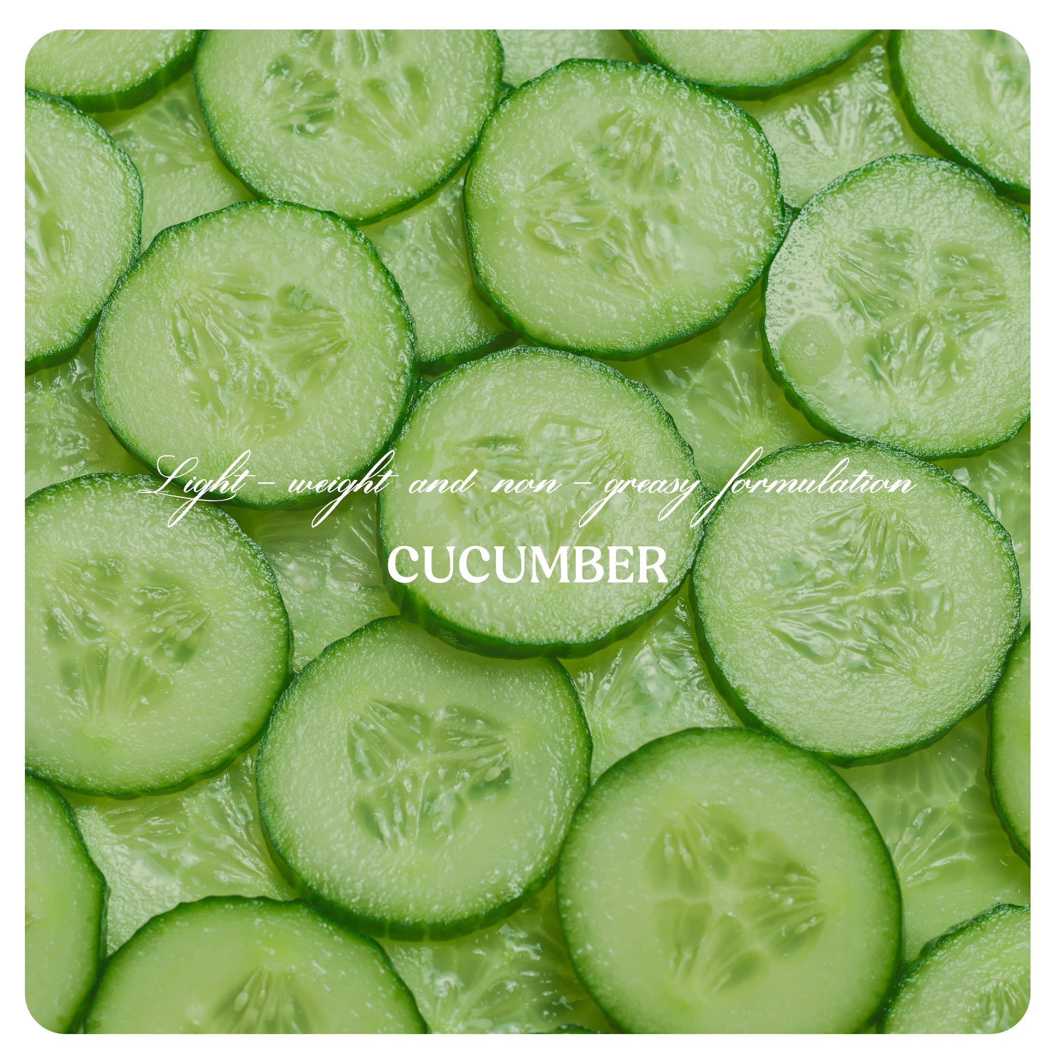 Face Cream (Normal to Oily)