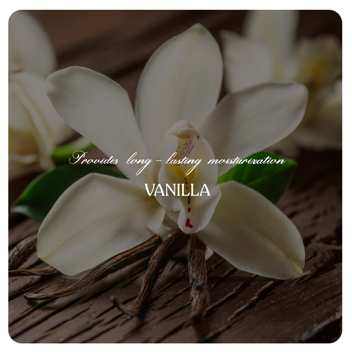 Vanilla Body Lotion