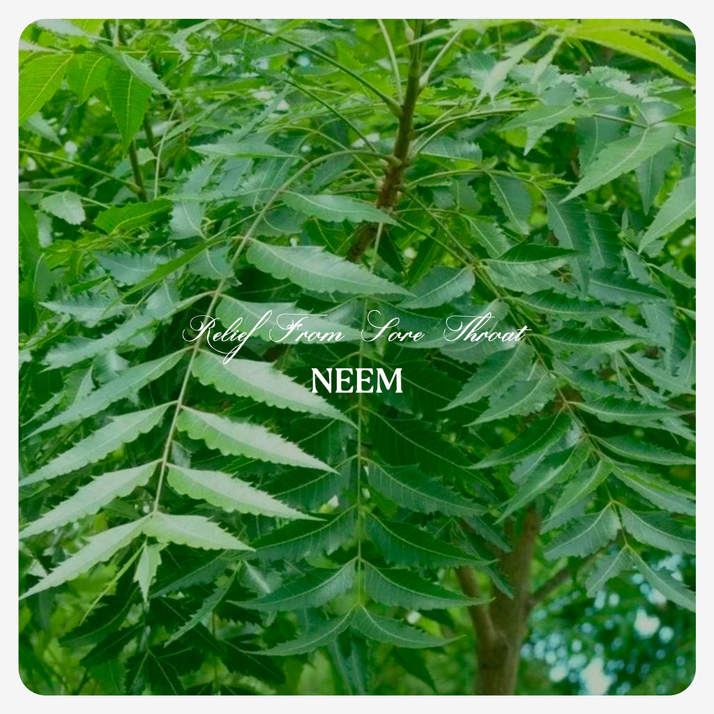 Neem Oil