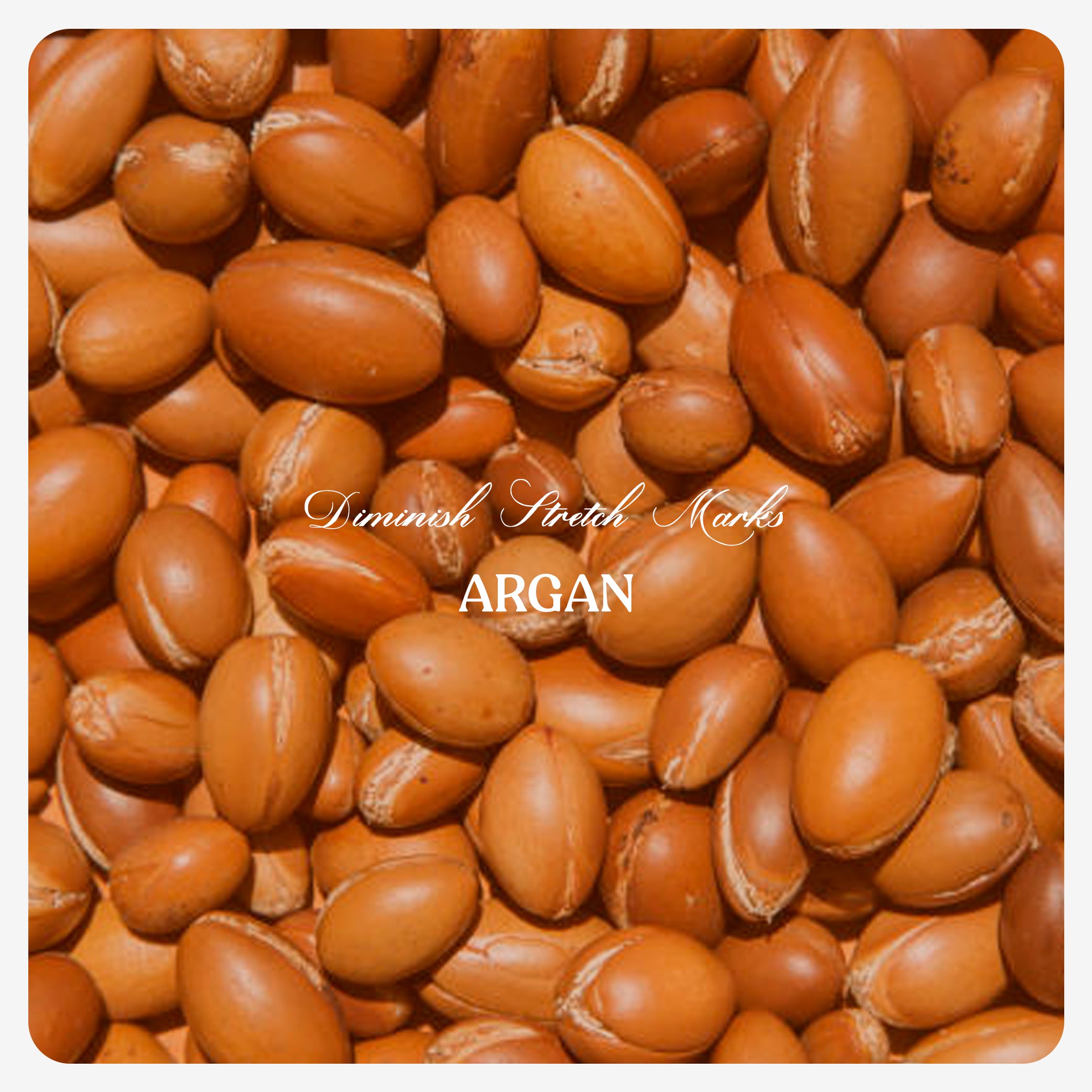 Argan Oil (Cold Pressed)