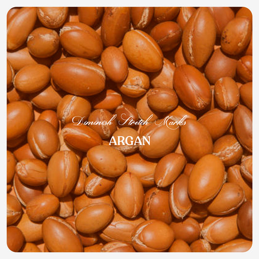 Argan Oil (Cold Pressed)